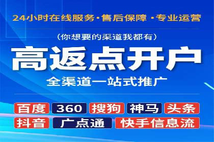 深度解析百度竞价公司的广告投放策略及效果